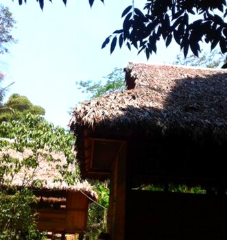 ecolucerna lodge tambopata
