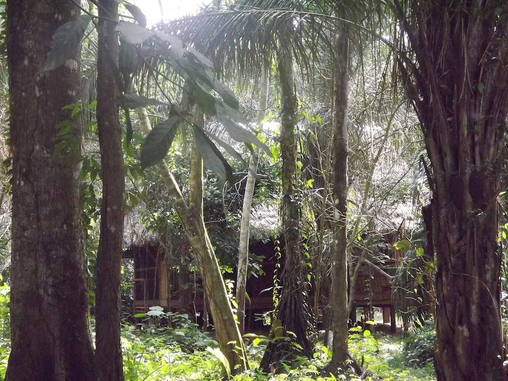 ecolucerna lodge tambopata