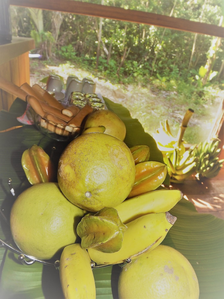 ecolucerna lodge tambopata