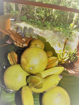 ecolucerna lodge tambopata