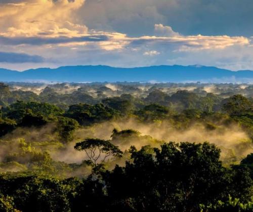 ecolucerna lodge tambopata