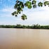 tambopata river