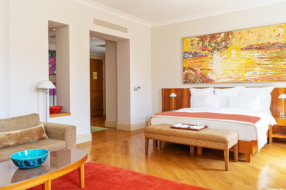 tomtom suites special class