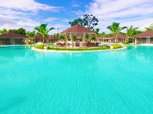bohol shores