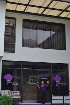 the purple tree bed and breakfast