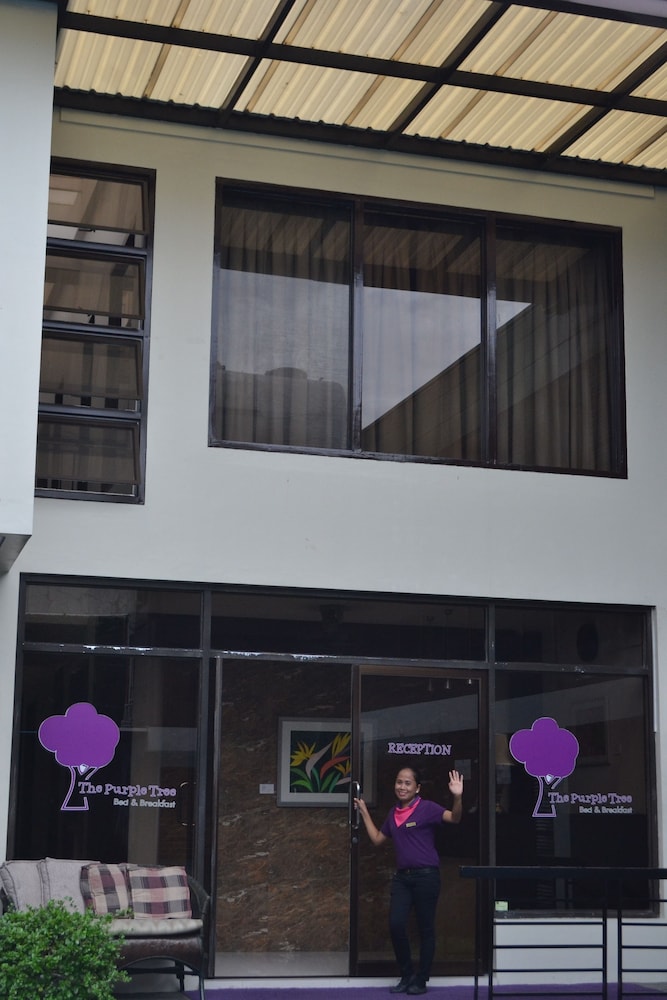 the purple tree bed and breakfast