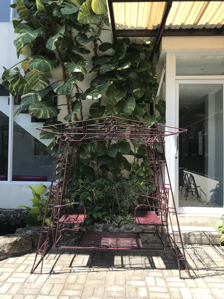 the purple tree bed and breakfast