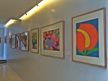 the purple tree bed and breakfast