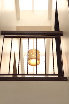 the purple tree bed and breakfast