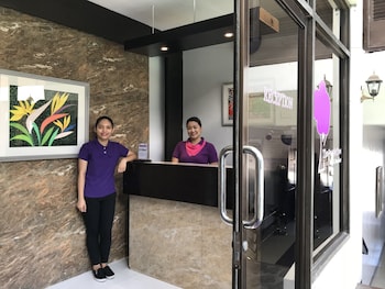 the purple tree bed and breakfast