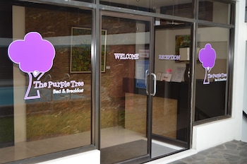 the purple tree bed and breakfast