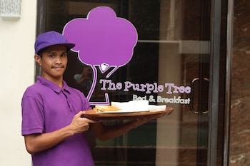 the purple tree bed and breakfast