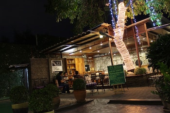 the purple tree bed and breakfast