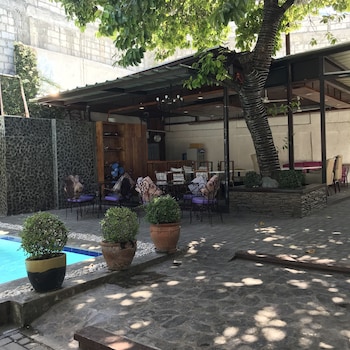 the purple tree bed and breakfast