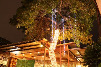 the purple tree bed and breakfast