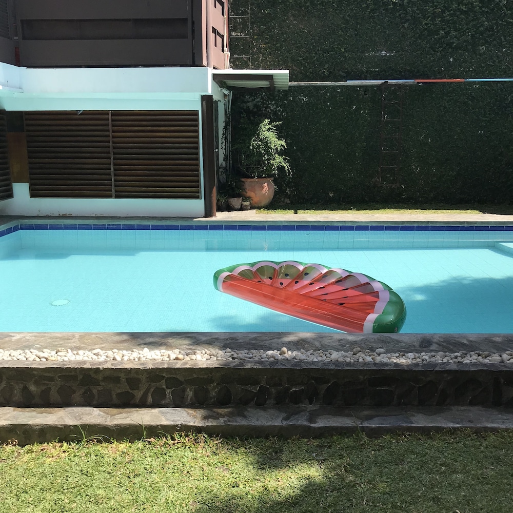 the purple tree bed and breakfast