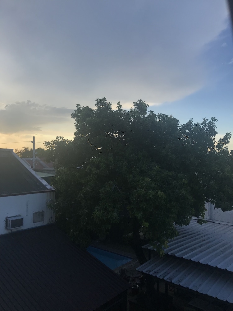 the purple tree bed and breakfast