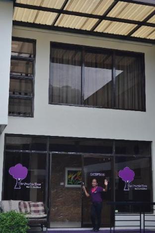 the purple tree bed and breakfast