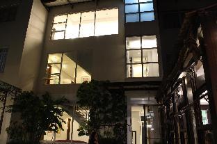 the purple tree bed and breakfast