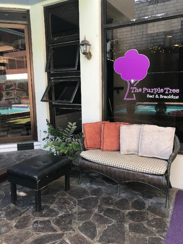 the purple tree bed and breakfast