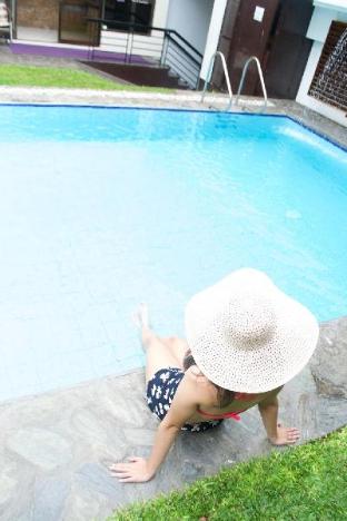 the purple tree bed and breakfast