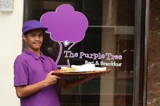 the purple tree bed and breakfast