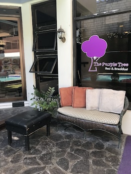 the purple tree bed and breakfast