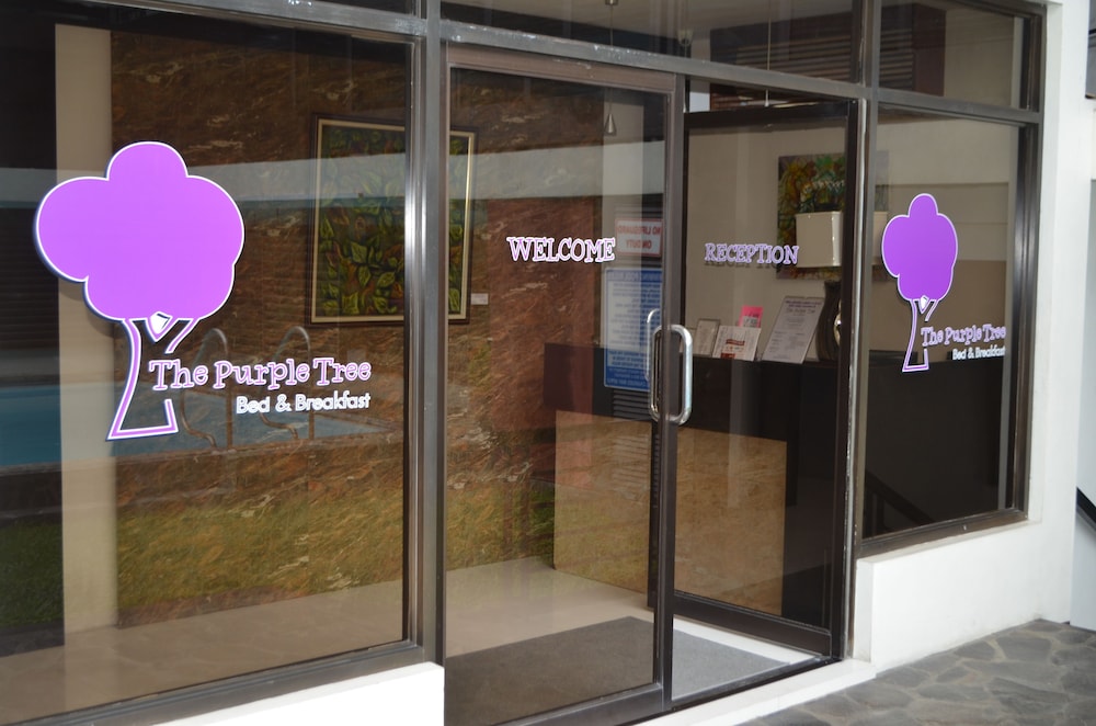the purple tree bed and breakfast
