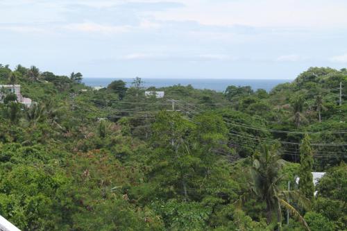 rogers place gay guesthouse caters to gay men
