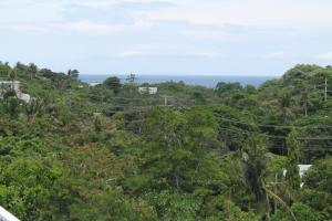 rogers place gay guesthouse caters to gay men