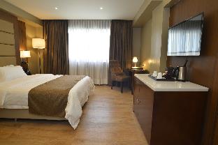bendix hotel san fernando powered by cocotel
