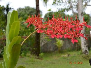 bakhaw bed and breakfast