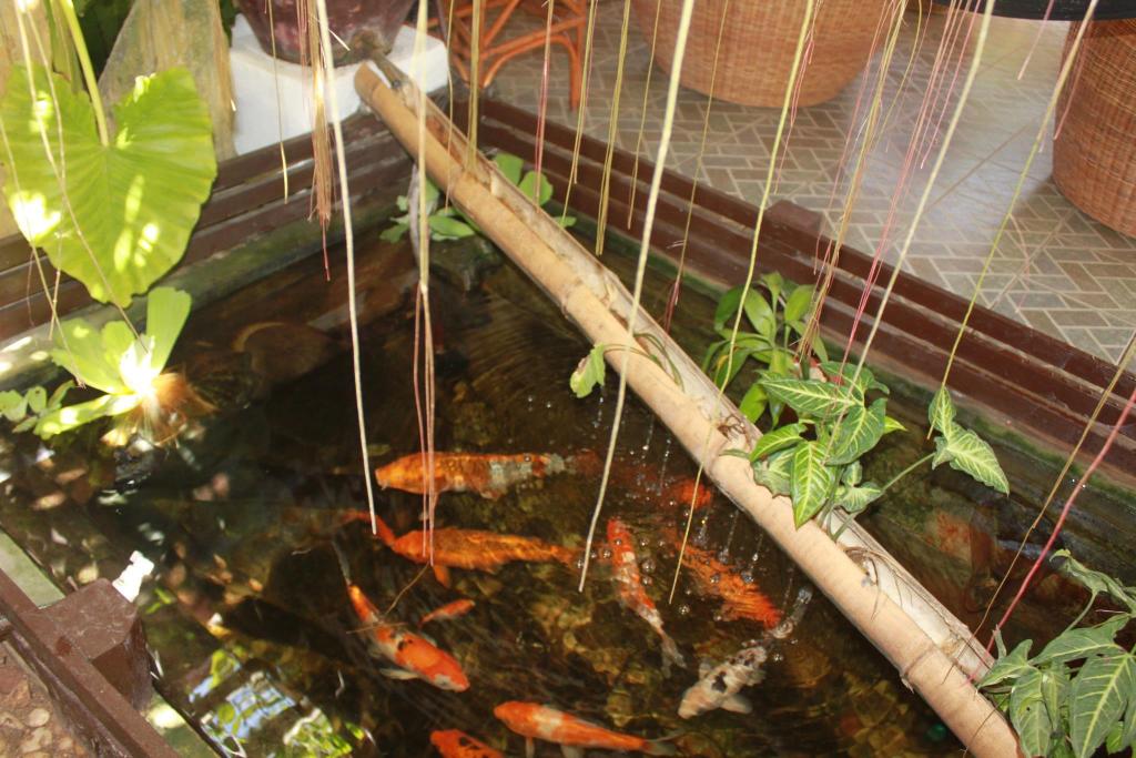 bulskamp inn adults only