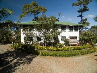 pine breeze cottages