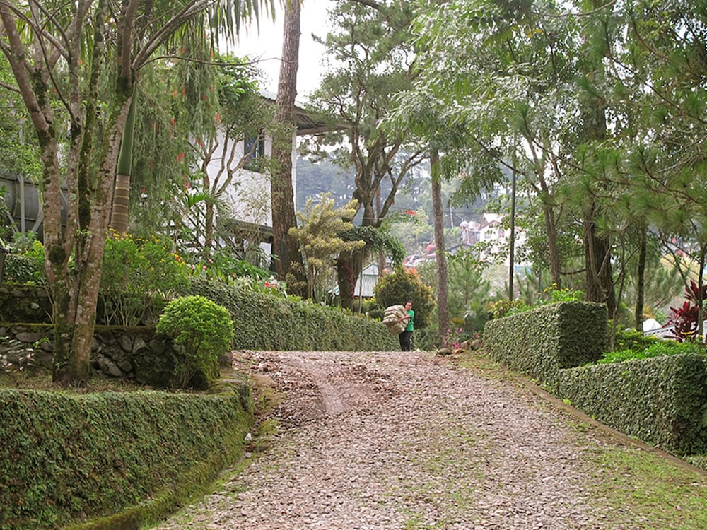 pine breeze cottages