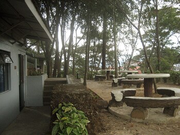 pine breeze cottages