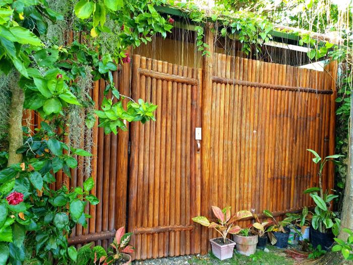 zen rooms mjs residences moalboal