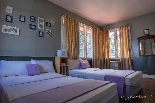 old orangewood bed and breakfast