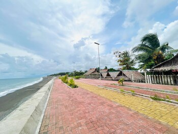 san jose de buenavista