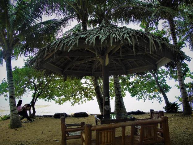 toris backpackers paradise