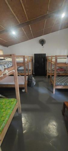 toris backpackers paradise