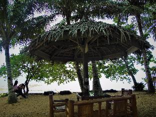 toris backpackers paradise