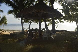 toris backpackers paradise