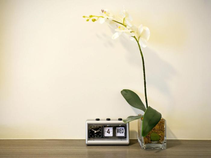 currency serviced suites