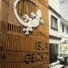 isla gecko resort