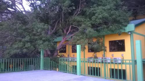 meaco hotel anilao