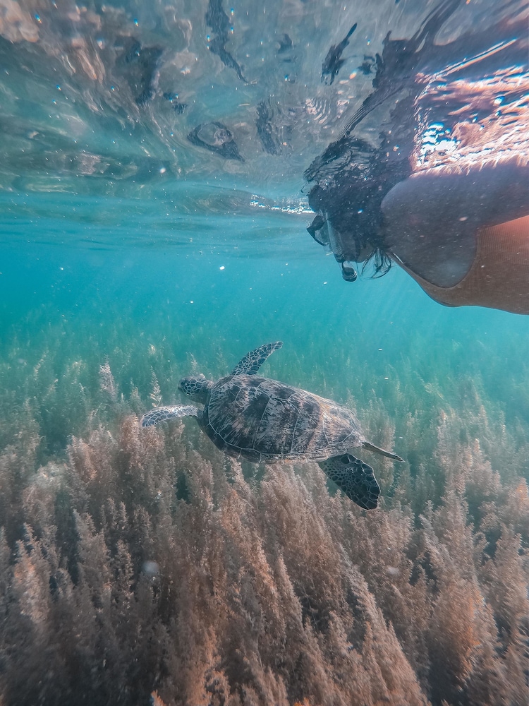 pescadores suites moalboal