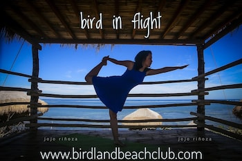 birdland beach club