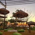 birdland beach club