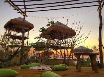 birdland beach club